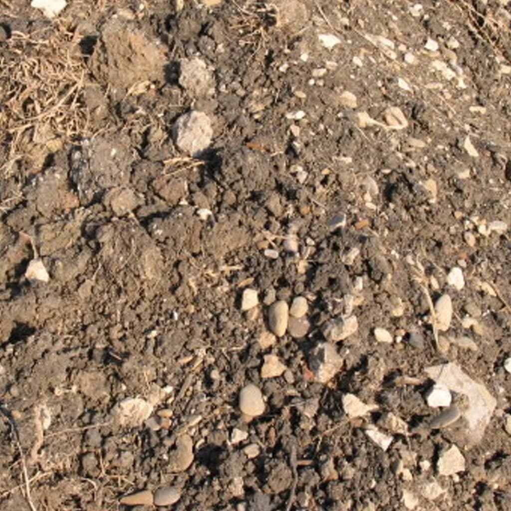 Fill Dirt