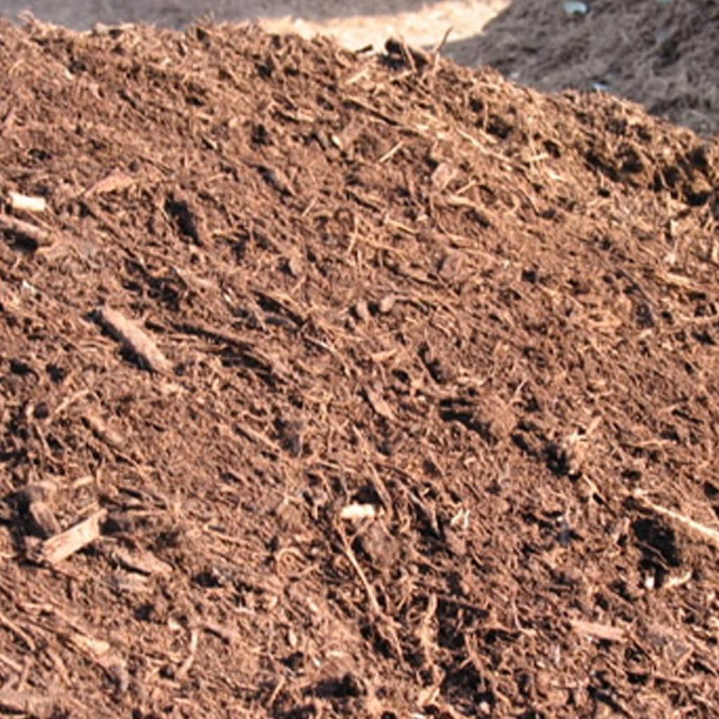 Filter Berm