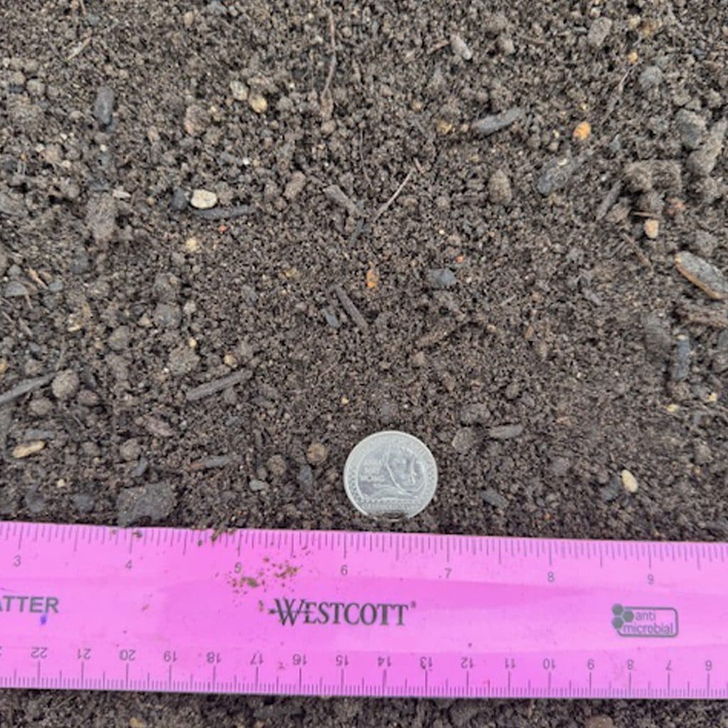 Premium Potting Soil