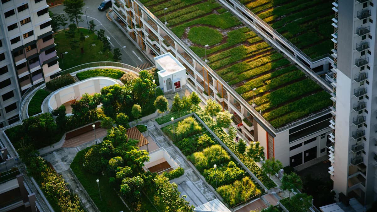 Why Green Roof Mix Is the Key to Spring 2025 Success