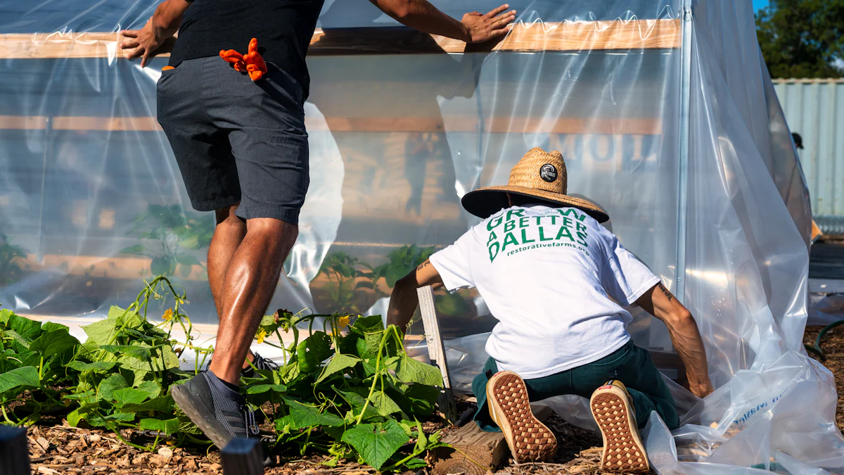 Planning Your Backyard Greenhouse