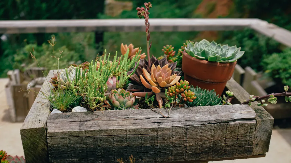 Tools and Materials for DIY Planters